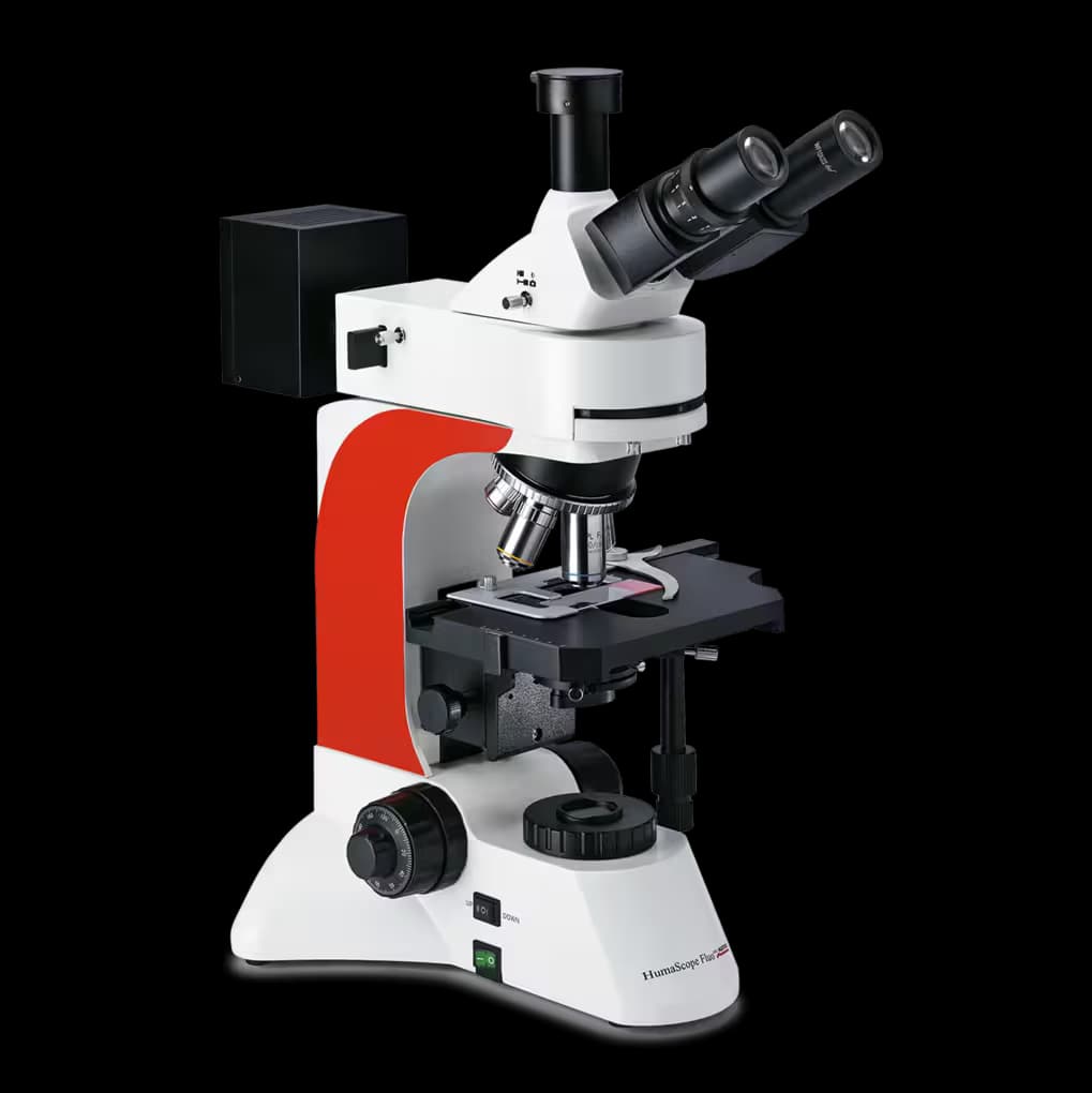 HumaScope FluoLED(2 channel)